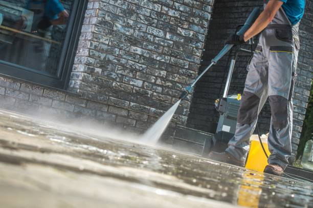 Best Solar Panel Cleaning  in Moore Haven, FL